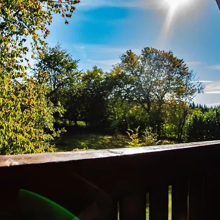 Lejlighed Zum Forsthaus Mit Sauna 180qm Und Garten Oberviechtach